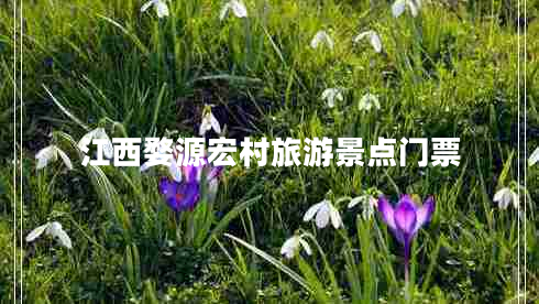 江西婺源宏村旅游景點(diǎn)門(mén)票