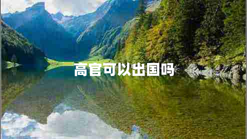 高官可以出國嗎