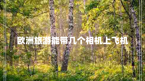 歐洲旅游能帶幾個(gè)相機上飛機