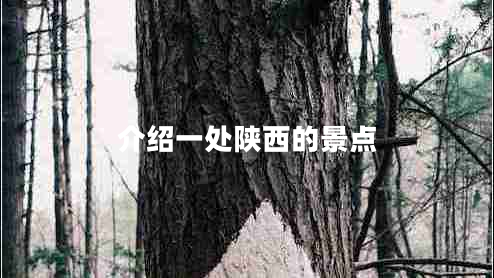 介紹一處陜西的景點(diǎn)