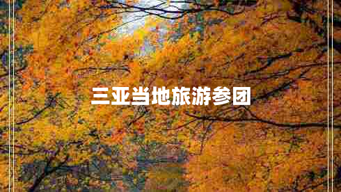 三亞當地旅游參團