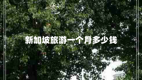 新加坡旅游一個(gè)月多少錢(qián)