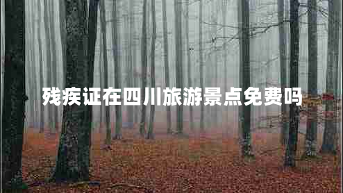 殘疾證在四川旅游景點(diǎn)免費嗎