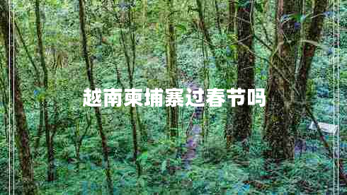 越南柬埔寨過(guò)春節嗎