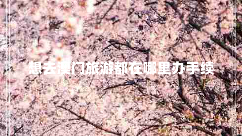 想去澳門(mén)旅游都在哪里辦手續