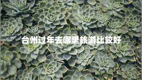 臺州過年去哪里旅游比較好