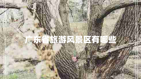 廣東省旅游風(fēng)景區有哪些