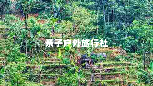 親子戶(hù)外旅行社