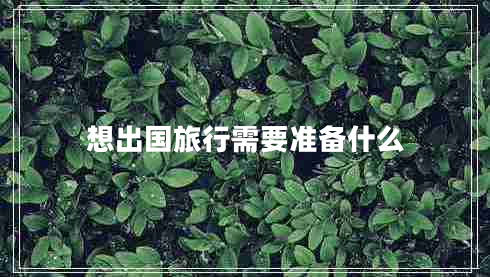 想出國旅行需要準備什么