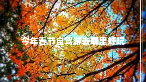 今年春節自駕游去哪里好玩