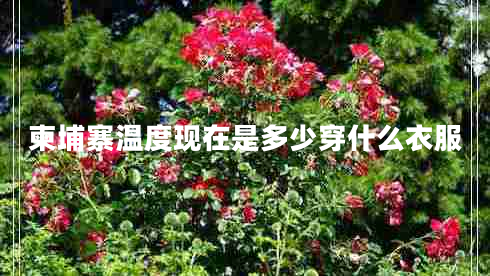 柬埔寨溫度現在是多少穿什么衣服