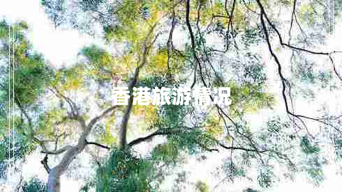 香港旅游情況