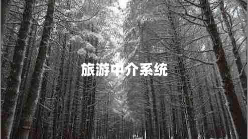 旅游中介系統