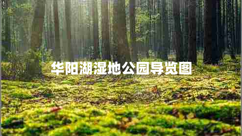 華陽(yáng)湖濕地公園導覽圖