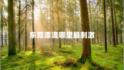東莞漂流哪里最刺激