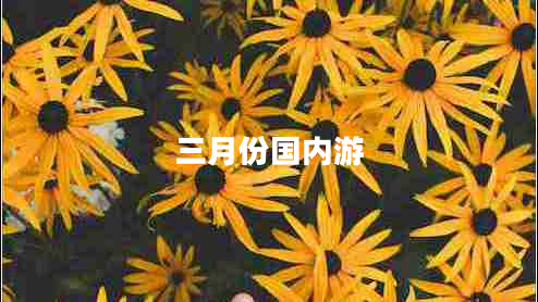 三月份國內游
