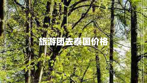 旅游團去泰國價(jià)格