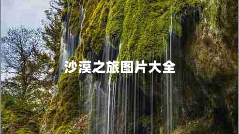 沙漠之旅圖片大全