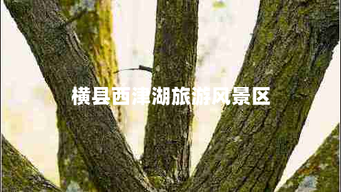 橫縣西津湖旅游風(fēng)景區