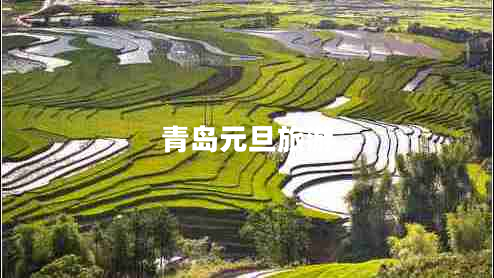 青島元旦旅游