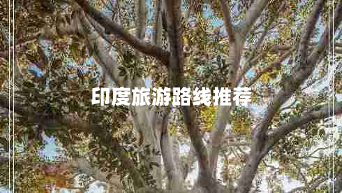 印度旅游路線(xiàn)推薦