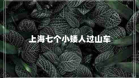 上海七個(gè)小矮人過(guò)山車(chē)