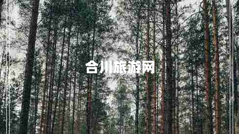 合川旅游網(wǎng)