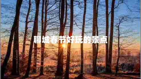 聊城春節好玩的景點(diǎn)