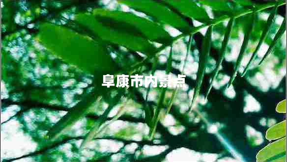 阜康市內景點(diǎn)
