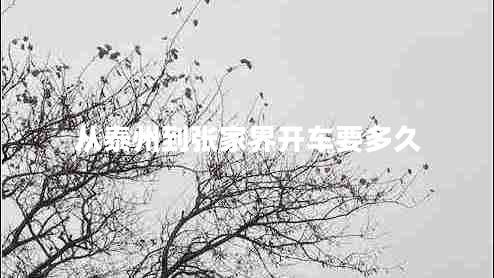 從泰州到張家界開(kāi)車(chē)要多久