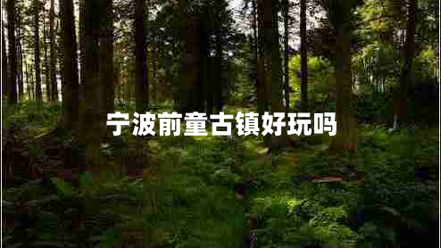 寧波前童古鎮好玩嗎