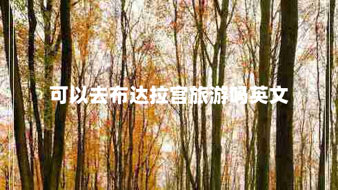 可以去布達拉宮旅游嗎英文