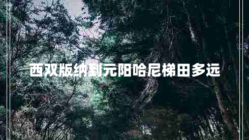 西雙版納到元陽(yáng)哈尼梯田多遠