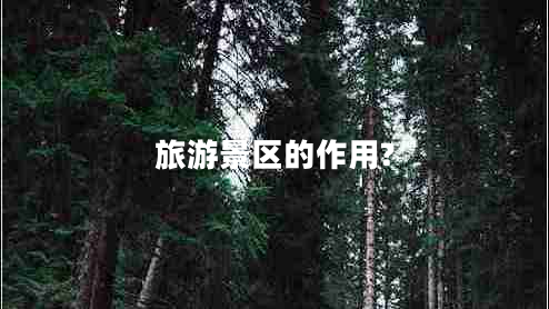 旅游景區的作用?