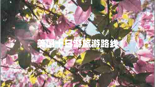 美國十日游旅游路線(xiàn)