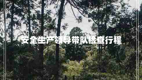 安全生產(chǎn)領(lǐng)導帶隊檢查行程