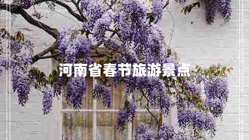 河南省春節旅游景點(diǎn)