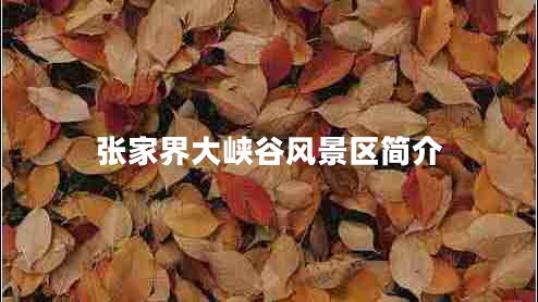 張家界大峽谷風(fēng)景區簡(jiǎn)介