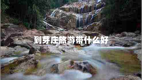到芽莊旅游帶什么好