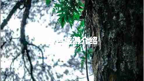 百色旅游介紹