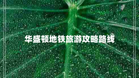 華盛頓地鐵旅游攻略路線(xiàn)