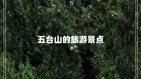 五臺山的旅游景點(diǎn)