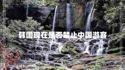 韓國現在是否禁止中國游客