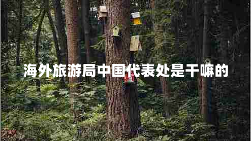 海外旅游局中國代表處是干嘛的