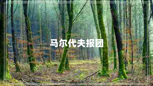 馬爾代夫報團