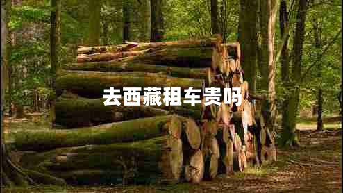 去西藏租車(chē)貴嗎