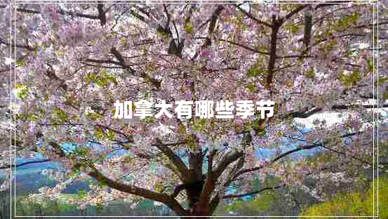 加拿大有哪些季節