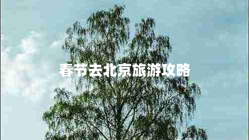 春節去北京旅游攻略