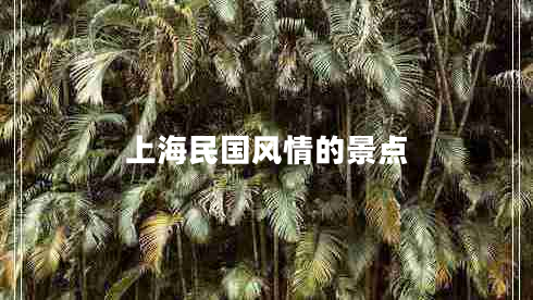 上海民國風(fēng)情的景點