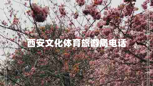 西安文化體育旅游局電話(huà)